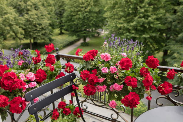 Gärtnerei: Garten, Terrasse & Balkon